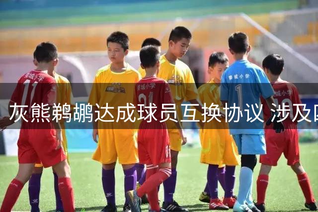 灰熊鹈鹕达成球员互换协议 涉及四将两选秀权
